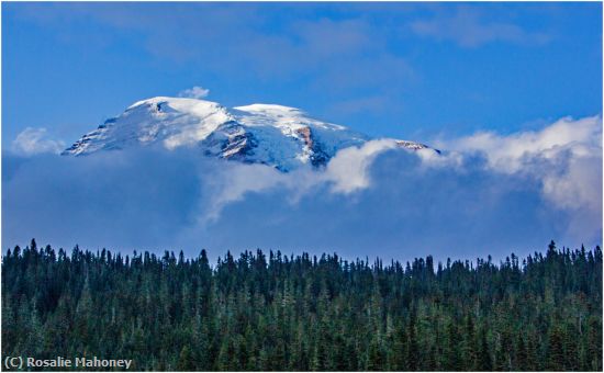 Missing Image: i_0032.jpg - Mt Ranier Through the Clouds