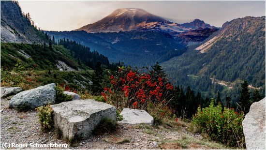 Missing Image: i_0002.jpg - View from the Wildflowers