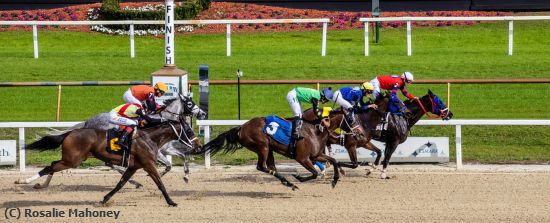 Missing Image: i_0011.jpg - Racing Past the Finish Line