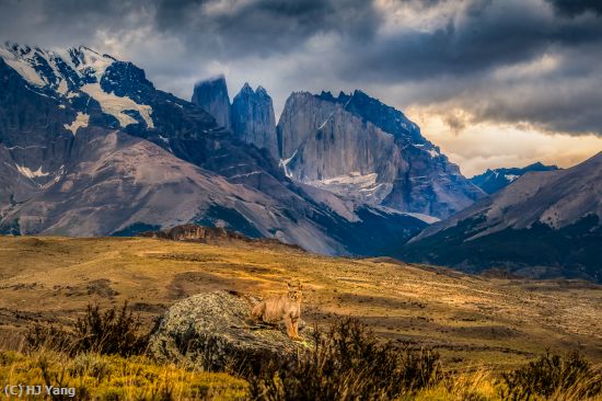 Missing Image: i_0024.jpg - Patagonia