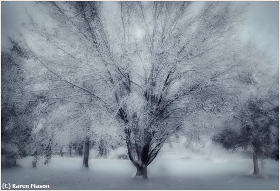 Missing Image: i_0068.jpg - SnowDay