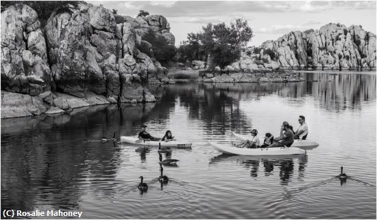 Missing Image: i_0076.jpg - People and Geese on the Water