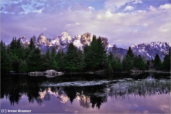 Missing Image: i_0045.jpg - Beaver Lodge at Schwabacher's Landing