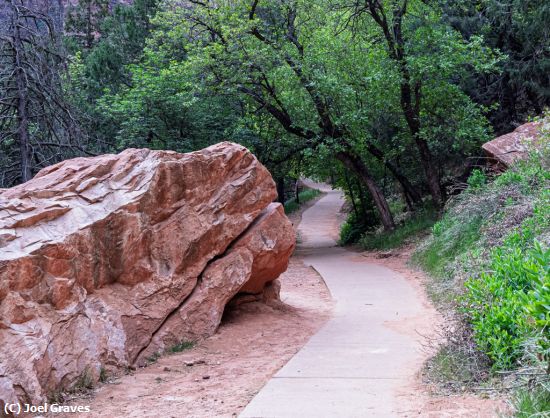 Missing Image: i_0002.jpg - A Peaceful Path