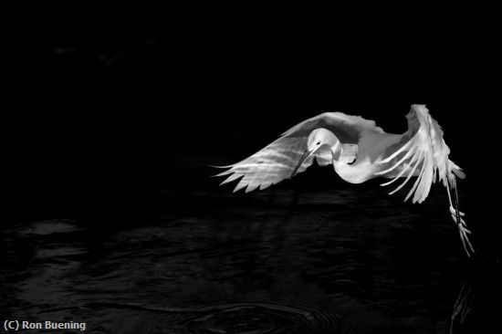 Missing Image: i_0064.jpg - Flying Through Darkness
