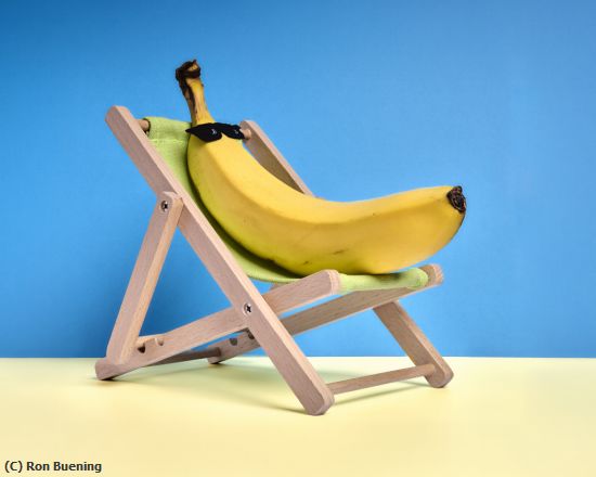 Missing Image: i_0001.jpg - One Cool Banana