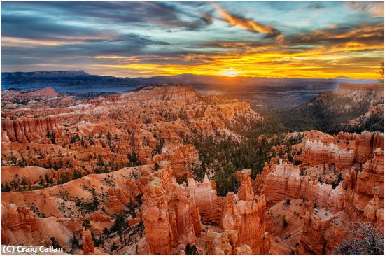 Missing Image: i_0005.jpg - Bryce Dawn