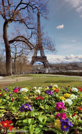 Missing Image: i_0031.jpg - February Flowers