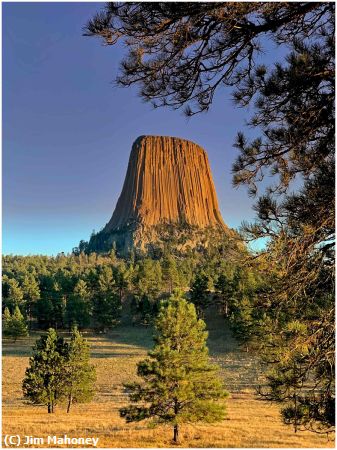 Missing Image: i_0033.jpg - Devils Tower in the Trees