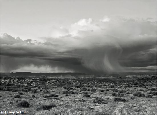 Missing Image: i_0059.jpg - Dessert Storm