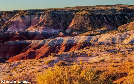 Missing Image: i_0024.jpg - Golden Light Painted Desert