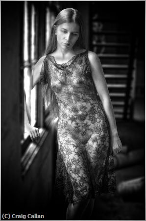Missing Image: i_0059.jpg - Window Dress BW