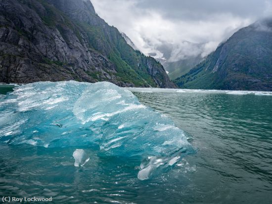 Missing Image: i_0035.jpg - Alaskan Glaical Bay