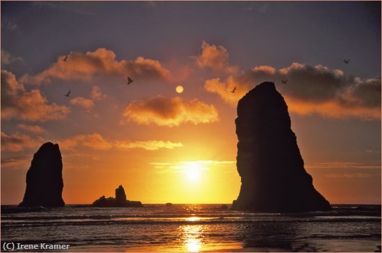 Missing Image: i_0041.jpg - Sunset & Moonrise at The Needles