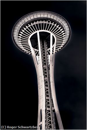 Missing Image: i_0051.jpg - Night Needle