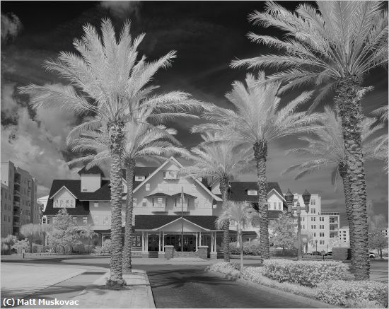 Missing Image: i_0063.jpg - Belleview Biltmore IR