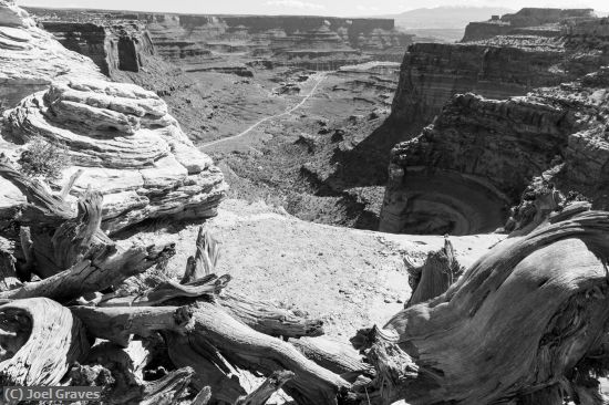 Missing Image: i_0065.jpg - Canyon Trail