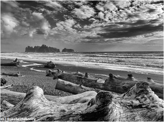 Missing Image: i_0069.jpg - Rialto Beach