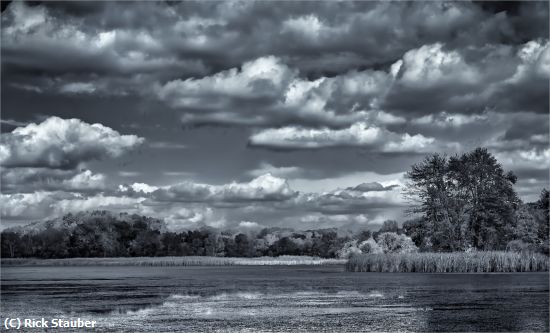 Missing Image: i_0070.jpg - Hyper Humus Wildlife Reserve
