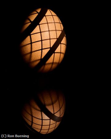 Missing Image: i_0034.jpg - Lat-egg-tude and Long-egg-tude