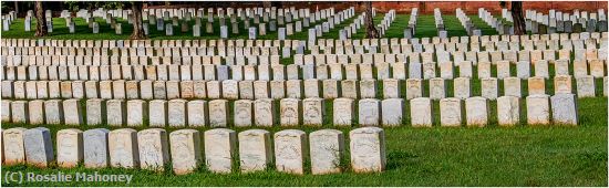 Missing Image: i_0043.jpg - Andersonville