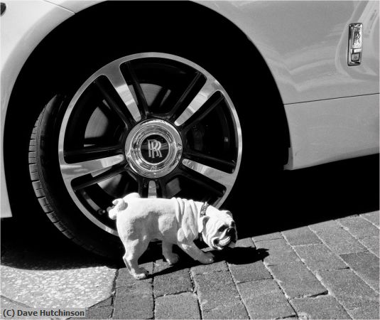 Missing Image: i_0057.jpg - Aiming high taken literally