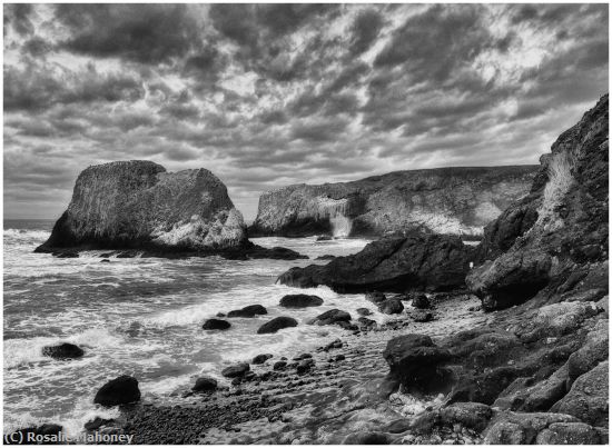 Missing Image: i_0060.jpg - Along the Oregon Coast