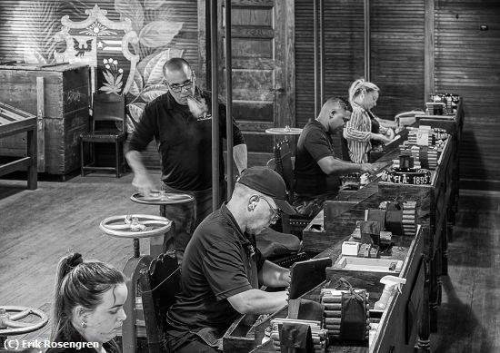 Missing Image: i_0070.jpg - Eyeing-his-charges-Newman-Cigar-Co-Mono