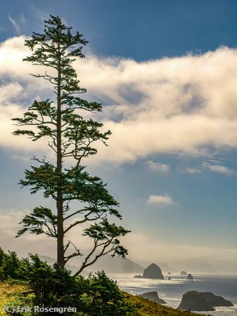 Missing Image: i_0006.jpg - Canon-Beach-looking-South