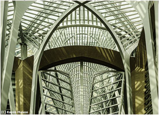 Missing Image: i_0033.jpg - light