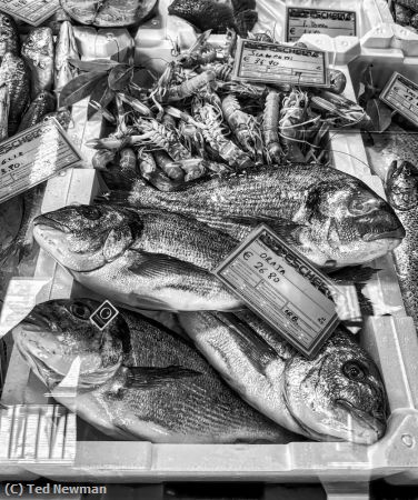 Missing Image: i_0066.jpg - italian-fish-market