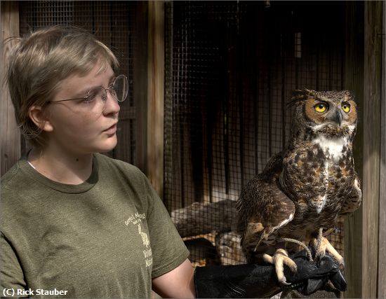 Missing Image: i_0004.jpg - Bird of Prey Rescue