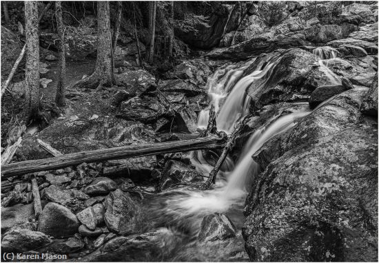 Missing Image: i_0050.jpg - IntoTheWoods