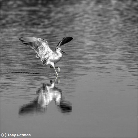 Missing Image: i_0065.jpg - Walking on Water