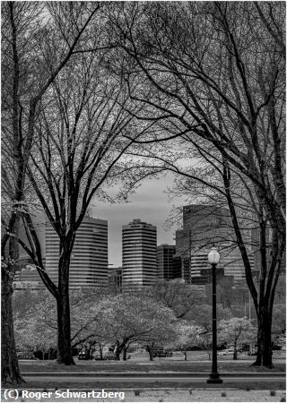 Missing Image: i_0066.jpg - D.C.Through the Trees