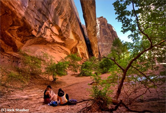 Missing Image: i_0002.jpg - Picnic at Grand Staff Canyon