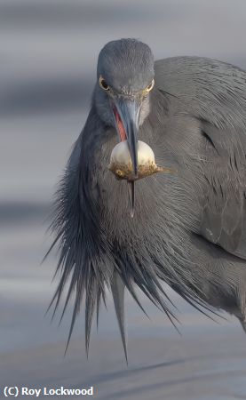 Missing Image: i_0014.jpg - What Now