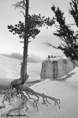 Missing Image: i_0062.jpg - Looking Out