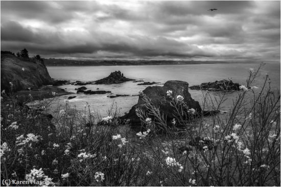 Missing Image: i_0066.jpg - Oergon Coast