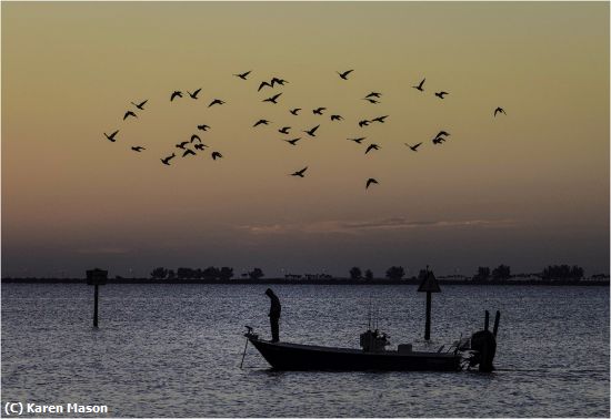 Missing Image: i_0011.jpg - Heading Home