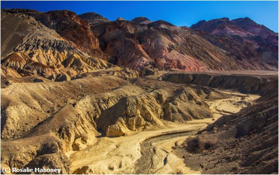 Missing Image: i_0013.jpg - Pathway Through the Mounds