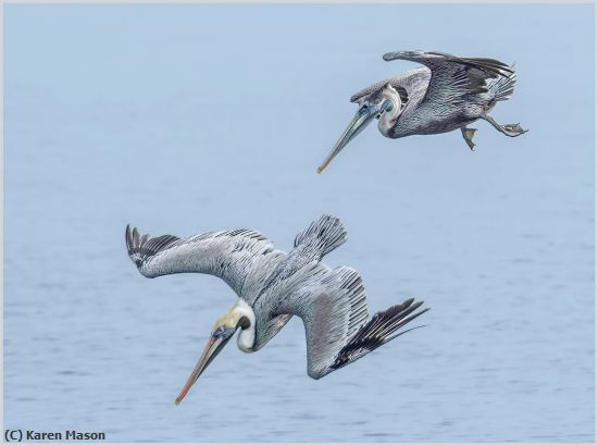 Missing Image: i_0022.jpg - See