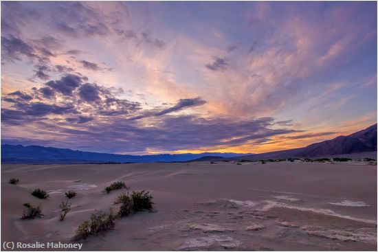 Missing Image: i_0025.jpg - Setting Sun at the Dunes