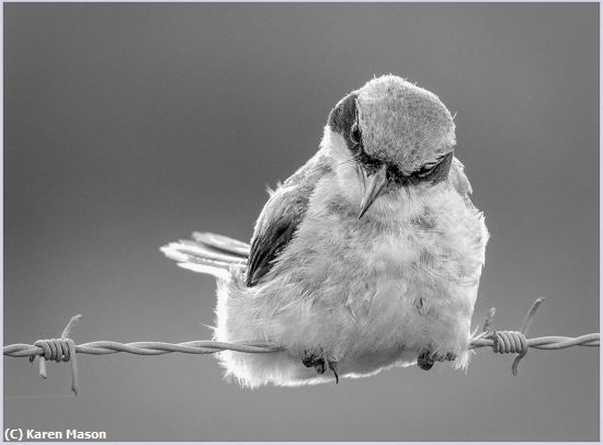 Missing Image: i_0053.jpg - Balance Beam