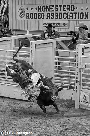 Missing Image: i_0059.jpg - Short-ride