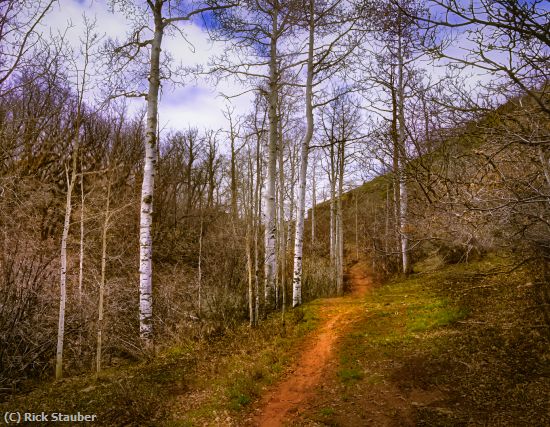 Missing Image: i_0004.jpg - Lost Trail