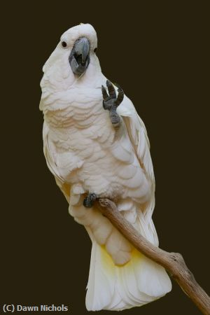 Missing Image: i_0021.jpg - Hi