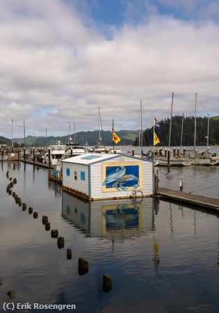 Missing Image: i_0022.jpg - Boat-harbor-Oregon