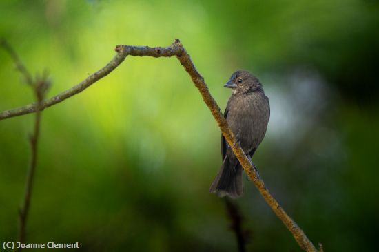 Missing Image: i_0027.jpg - sitting pretty