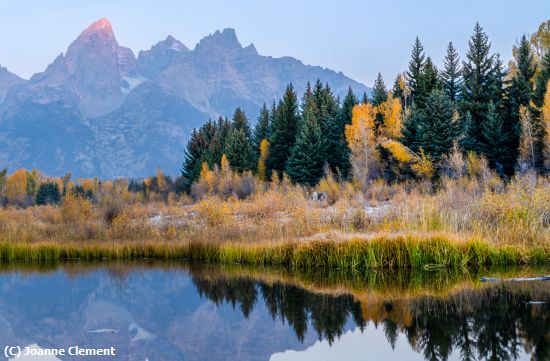 Current EI Photo Gallery